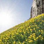Demeter House Whitby