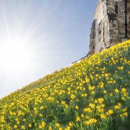 Demeter House Whitby