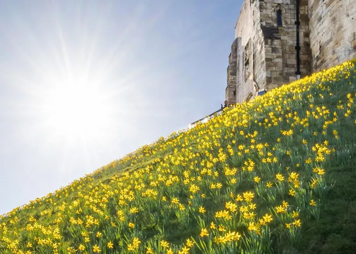Demeter House Whitby